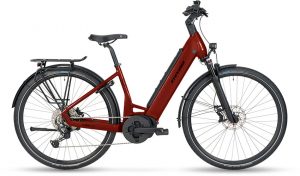 STEVENS E-Triton 6.6.1 Bosch G3 Performance Line 625 Wh 28″