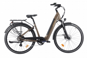 EXS BELLECOUR Hinterrad 461Wh